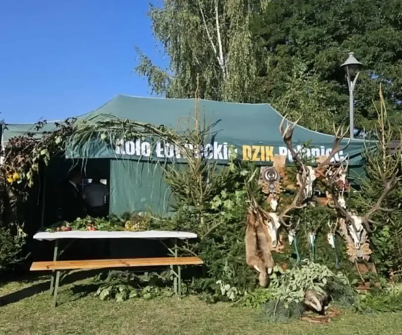 Koło Łowieckie „DZIK” z Połańca wsiedliło bażanty na swoim łowisku