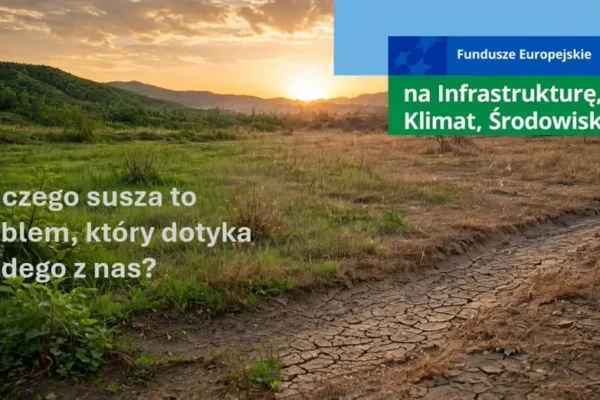 Jak zmiany klimatyczne wpływają na suszę i co możemy zrobić?