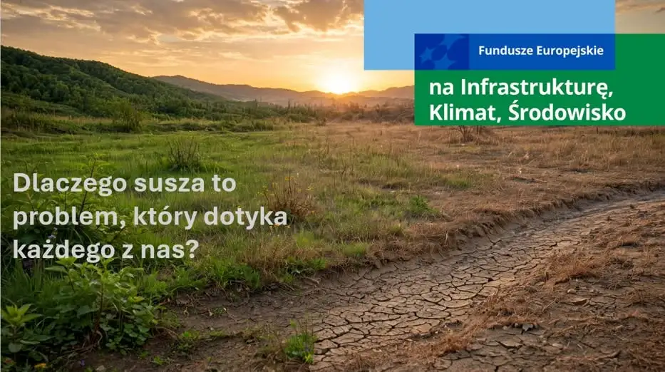 Jak zmiany klimatyczne wpływają na suszę i co możemy zrobić?