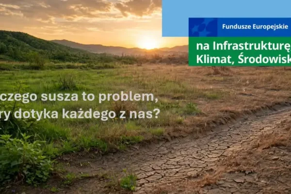 Susza jako cichy kryzys: jak zmiany klimatyczne wpływają na zasoby wody i co możemy zrobić?