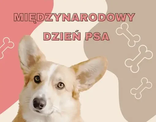 Międzynarodowy Dzień Psa: Połaniec świętuje z czworonogami