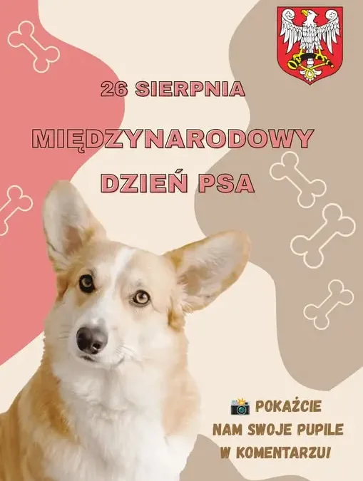 Międzynarodowy Dzień Psa: Połaniec świętuje z czworonogami