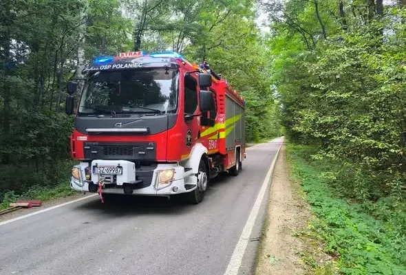 Powalone drzewo zablokowało drogę w Rudnikach. Interweniowali strażacy