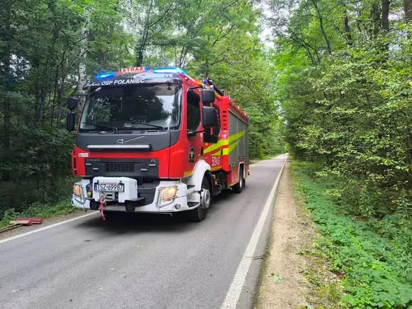Powalone drzewo zablokowało drogę w Rudnikach. Interweniowali strażacy