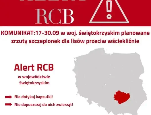Alert RCB w Świętokrzyskiem: zrzuty szczepionek dla lisów przeciw wściekliźnie
