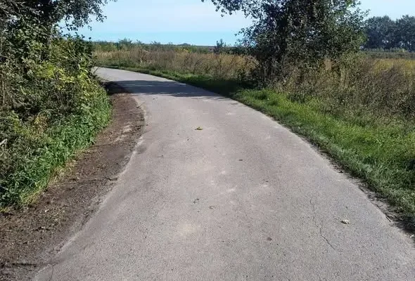Prace porządkowe na drogach gminnych Sworoń–Trzcianka Kolonia