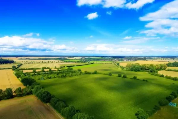 Rząd uruchamia pakiet pomocy dla rolników. Nawet 3 tys. zł na hektar i dopłaty do kredytów