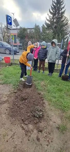 Pierwszoklasiści z Osieka posadzili swoje drzewka – szkolna tradycja
